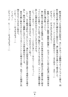 生徒会長のセキ裸ラな秘密, 日本語