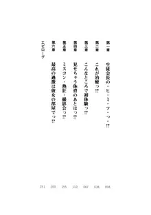 生徒会長のセキ裸ラな秘密, 日本語