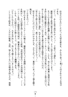 生徒会長のセキ裸ラな秘密, 日本語