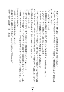 生徒会長のセキ裸ラな秘密, 日本語