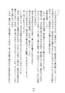 生徒会長のセキ裸ラな秘密, 日本語