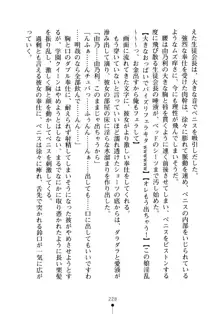 生徒会長のセキ裸ラな秘密, 日本語