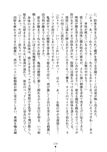 生徒会長のセキ裸ラな秘密, 日本語