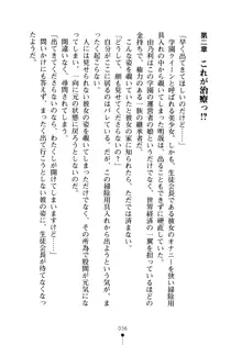 生徒会長のセキ裸ラな秘密, 日本語