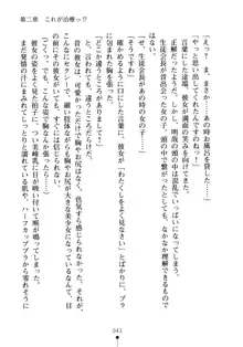 生徒会長のセキ裸ラな秘密, 日本語