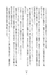 生徒会長のセキ裸ラな秘密, 日本語