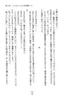 生徒会長のセキ裸ラな秘密, 日本語