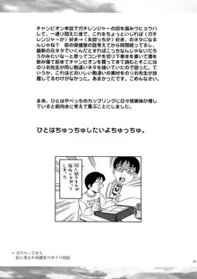 ひみつのひとは, 日本語