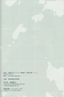 提督のカットイン装備で一撃大破デース！！, 日本語