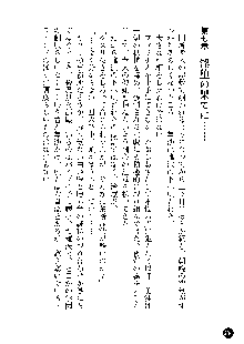 凌辱レオタード ～淫獄に堕ちた女子高生～, 日本語