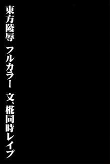 東方陵辱28 文、椛同時レイプ, 日本語