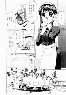 恥ずかしよりんちゃん, 日本語