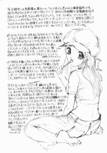 恥ずかしよりんちゃん, 日本語