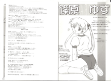 アリスのでんちばくだん Vol.18, 日本語