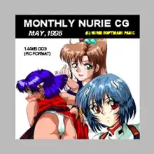 NURIE CD-R PERFECT COLLECTION VER.1.5, 日本語