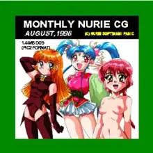 NURIE CD-R PERFECT COLLECTION VER.1.5, 日本語