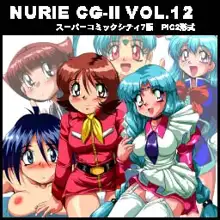 NURIE CD-R PERFECT COLLECTION VER.1.5, 日本語