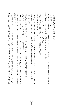 白百合の剣士 ～仮面姫ブリジット～, 日本語