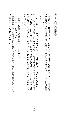 白百合の剣士 ～仮面姫ブリジット～, 日本語