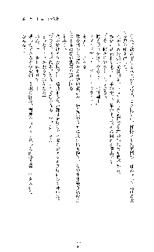 白百合の剣士 ～仮面姫ブリジット～, 日本語