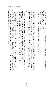 白百合の剣士 ～仮面姫ブリジット～, 日本語