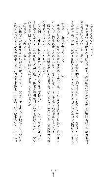 白百合の剣士 ～仮面姫ブリジット～, 日本語