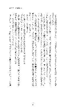 白百合の剣士 ～仮面姫ブリジット～, 日本語