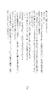 白百合の剣士 ～仮面姫ブリジット～, 日本語