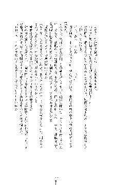 白百合の剣士 ～仮面姫ブリジット～, 日本語