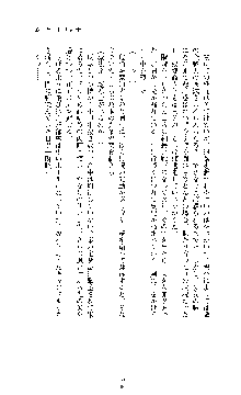 白百合の剣士 ～仮面姫ブリジット～, 日本語