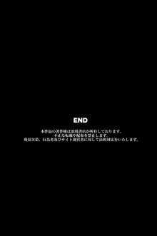 透明人間になったらできること, 日本語