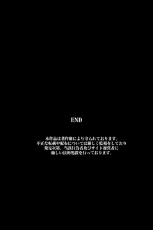 催眠電波で妹たちを操り放題ハーレム, 日本語