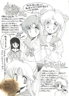 SAILOR MOON MATE 01 - USAGI, 日本語