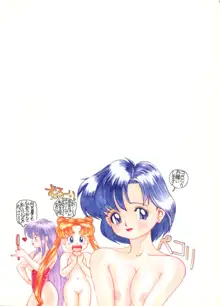 SAILOR MOON MATE 01 - USAGI, 日本語