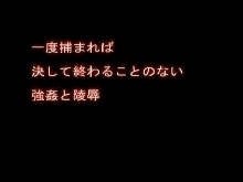 パイロットの葉月アンナが自信たっぷりに発進したが、決して戻ることはなかった, 日本語