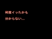 パイロットの葉月アンナが自信たっぷりに発進したが、決して戻ることはなかった, 日本語