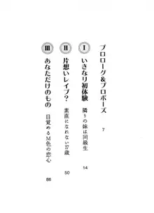 永遠の君へ ～隣りの妹～, 日本語