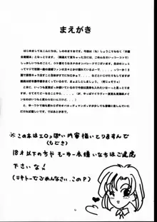 BPF Bokutou Private File, 日本語