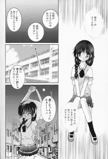 私立蘭丸学園 Private Ranmaru Highschool, 日本語