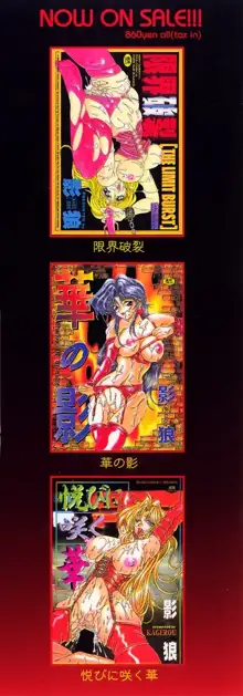 淫乳蜜母, 日本語