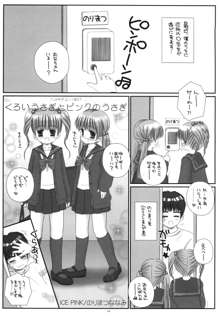 くろいうさぎとピンクのうさぎ, 日本語