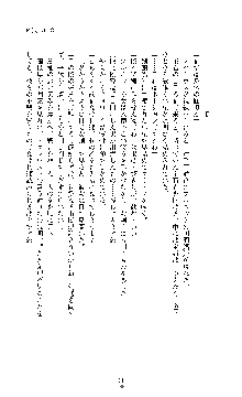 敗北淫辱のコロシアム 破れて堕ちる女戦士たち, 日本語