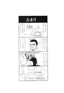 哀れな少女の話, 日本語