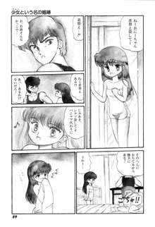 少女たちの夢草紙, 日本語