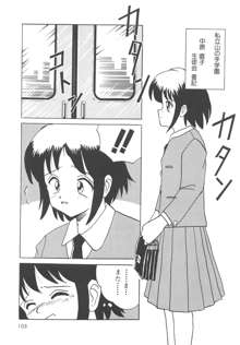 穢された制服, 日本語