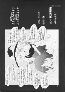 東方玄爺録・結, 日本語