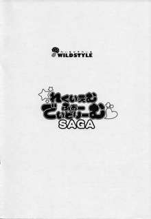 れくいえむ・ふぉー・でいどりーむSAGA, 日本語