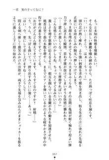 僕とお嬢さまの性教育, 日本語