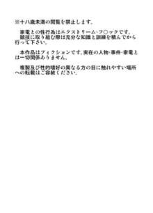 家電に欲情する性癖のフタナリグレムリン娘グレ沢ムリン子さんが色々ハメ壊す本, 日本語