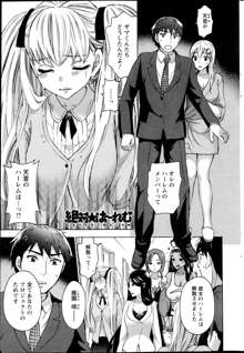 Zettai Harem ｃｈ.40-52+2, 日本語